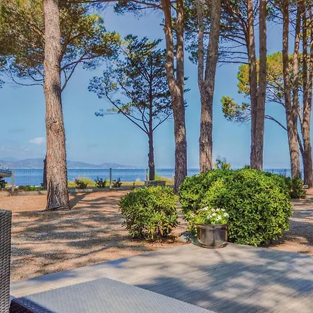 Amazing In St Florent With Wifi *